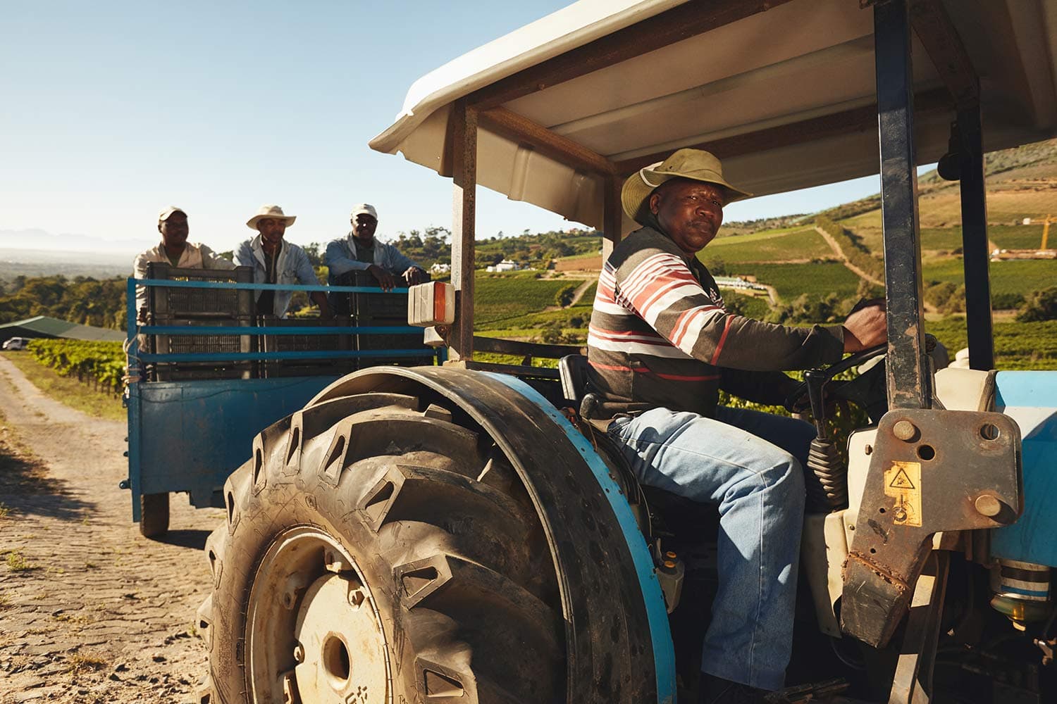 Imagine a Nigeria with a thriving agricultural infrastructure...