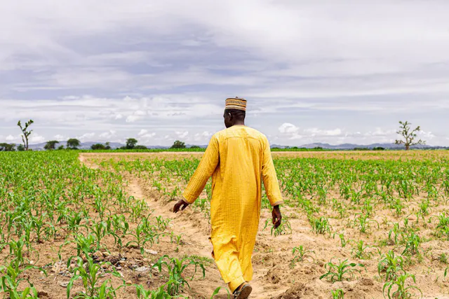 Nexus24 Unveils Updated Pricing Methodology at CEO Breakfast Session